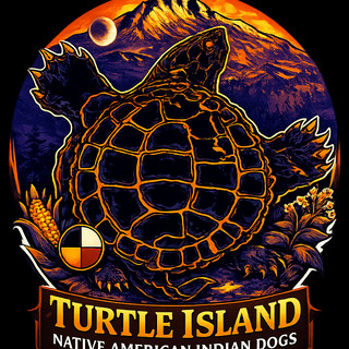 Writer: turtleislandnaids