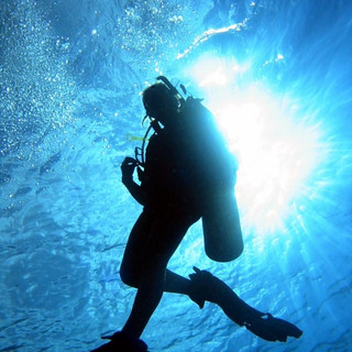 Writer: Darkwater Diver