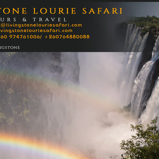 Writer: livingstone louriesafari