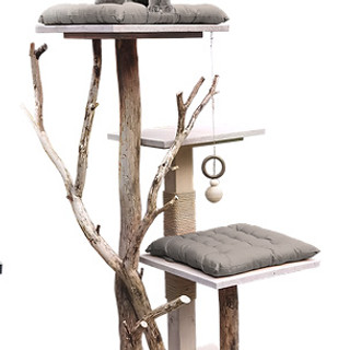 Photo du rédacteur: Cédric Katzimini