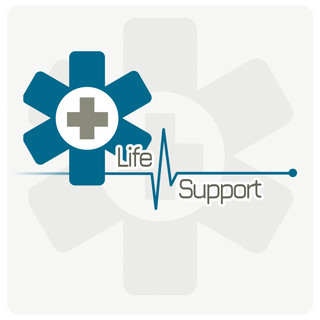 Writer: Life Support