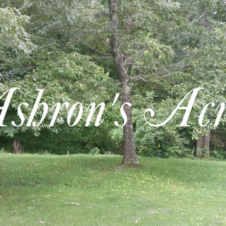 Writer: ashronsacres