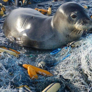 Writer: Help  The Oceans