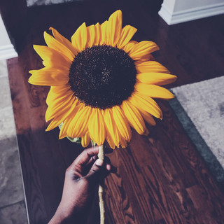 Writer: Mellow