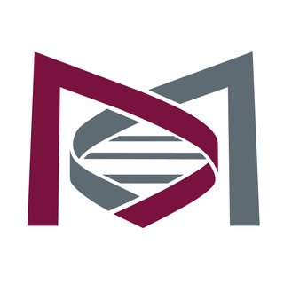 Writer: IIDR McMaster University