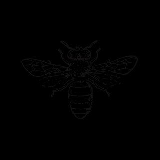 Writer: Genesis Guillory