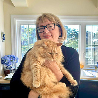 Writer: Louise Orpin