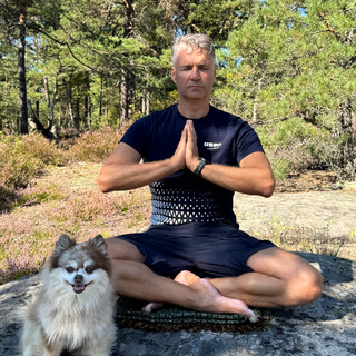 Forfatterens bilde: Frode Henriksen