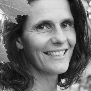 Photo du rédacteur: Dominique Lefort