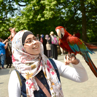 Writer: Dahlia Jamous