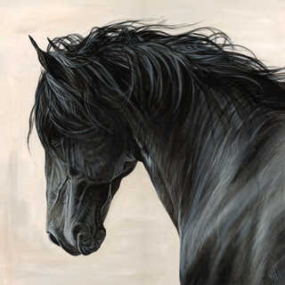 Writer: Vicky Tucker