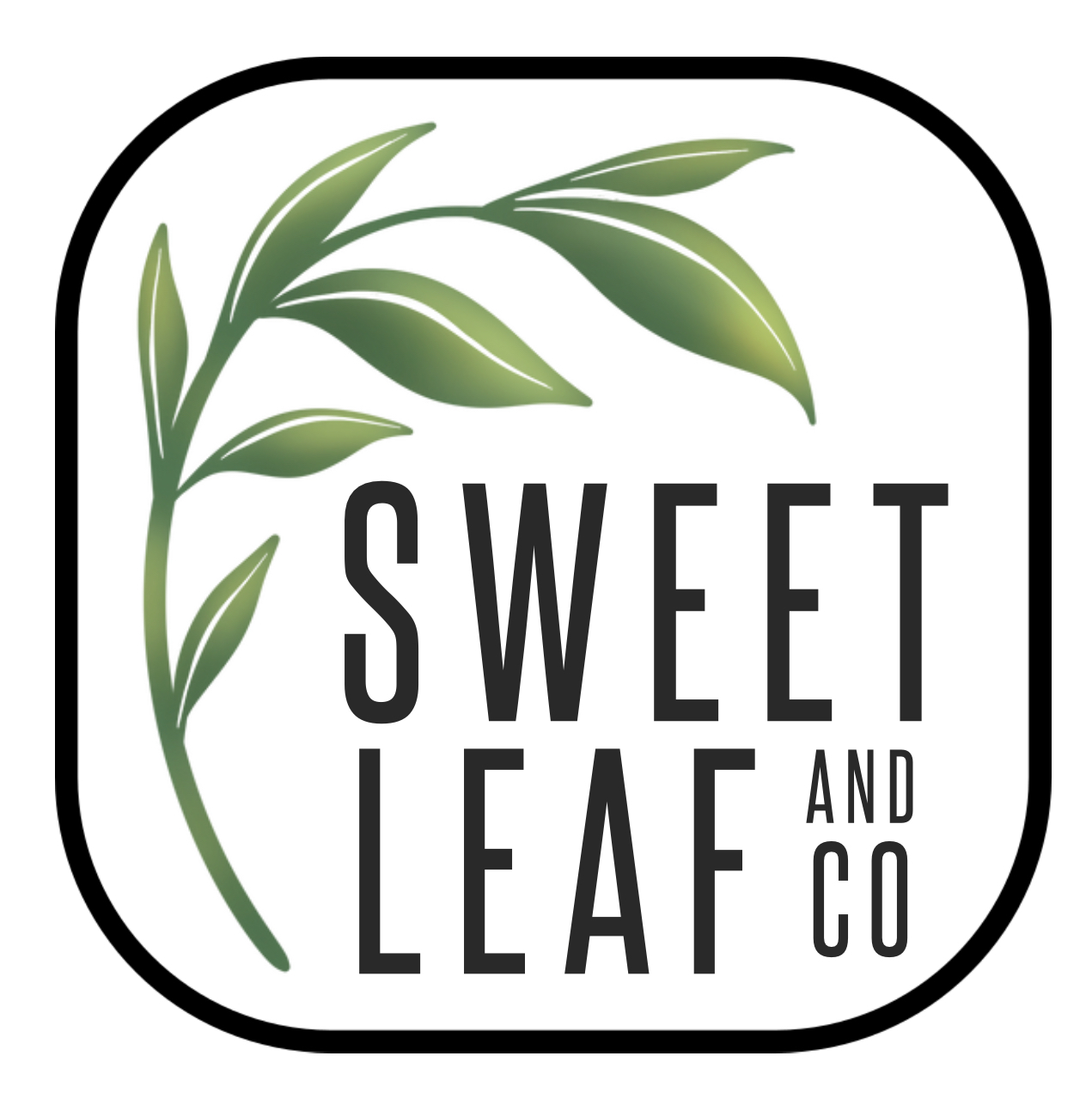 Writer: Sarah Peloquin