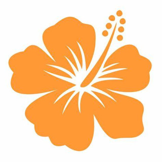 Writer: Bookkeeping Missoula