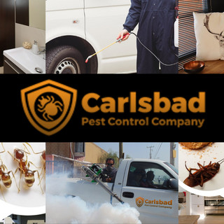 Writer: Carlsbad Pest Control Company