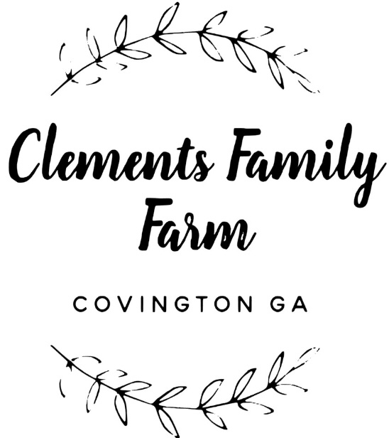 Writer: Megan Clements