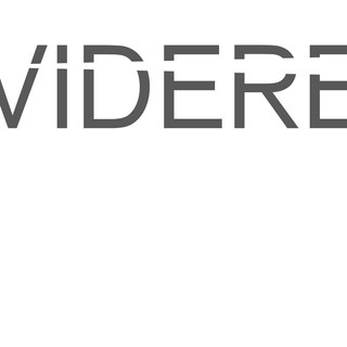 Writer: ViDERE Web Manager