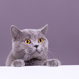 執筆者の写真: kanoko 0958249100