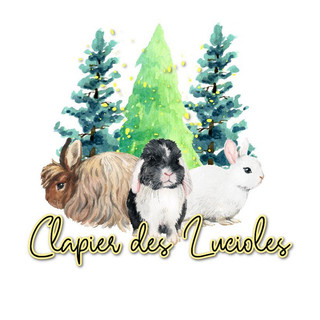 Photo du rédacteur: Clapier Des Lucioles