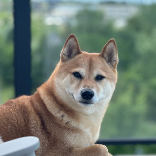 Photo du rédacteur: Chantal Laforest