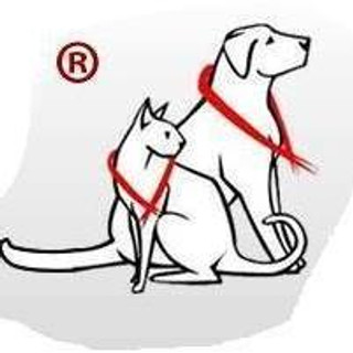 Writer: Defne Yazıcıoğlu