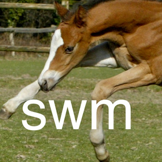 Autorenbild: Sabine Wegener