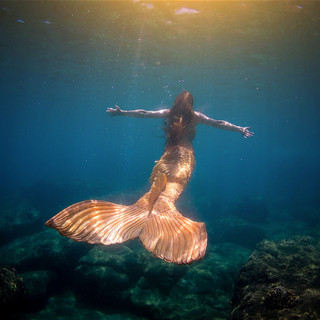 Writer: Haley Mermaid