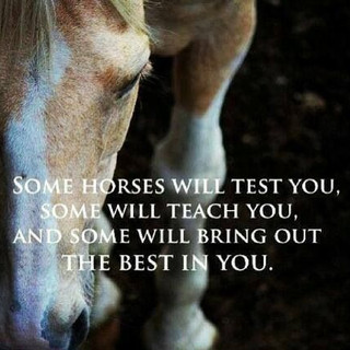 Photo du rédacteur: Mélanie Domprobst