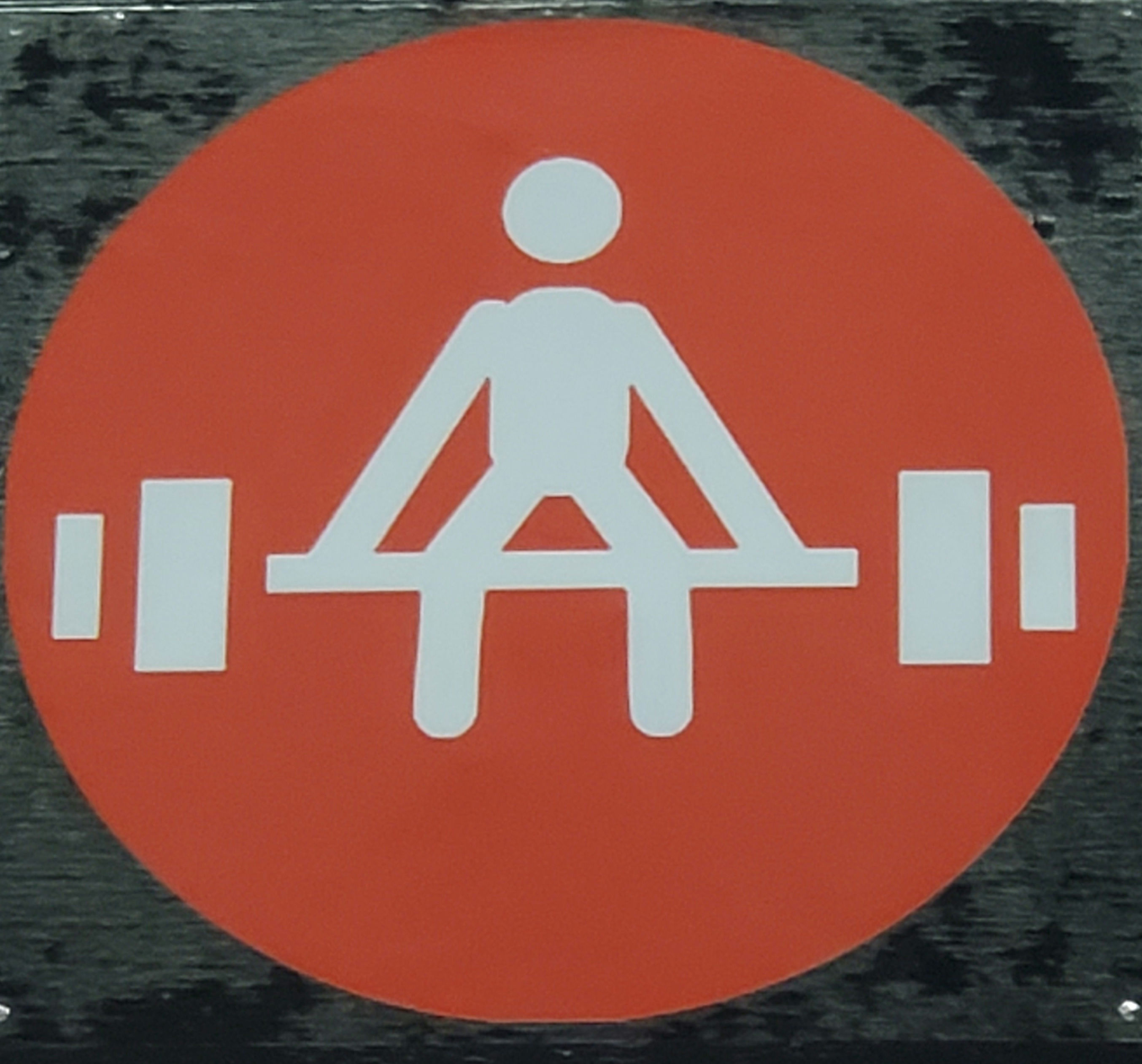 Writer: Mobile Fitness