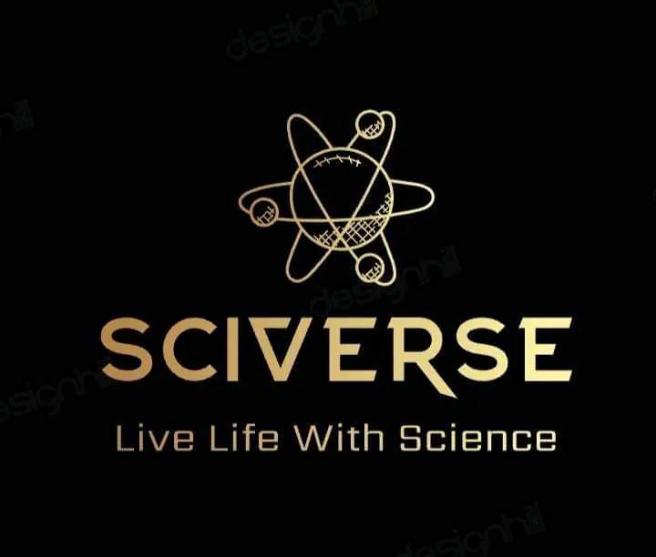 Writer: SciVerse null