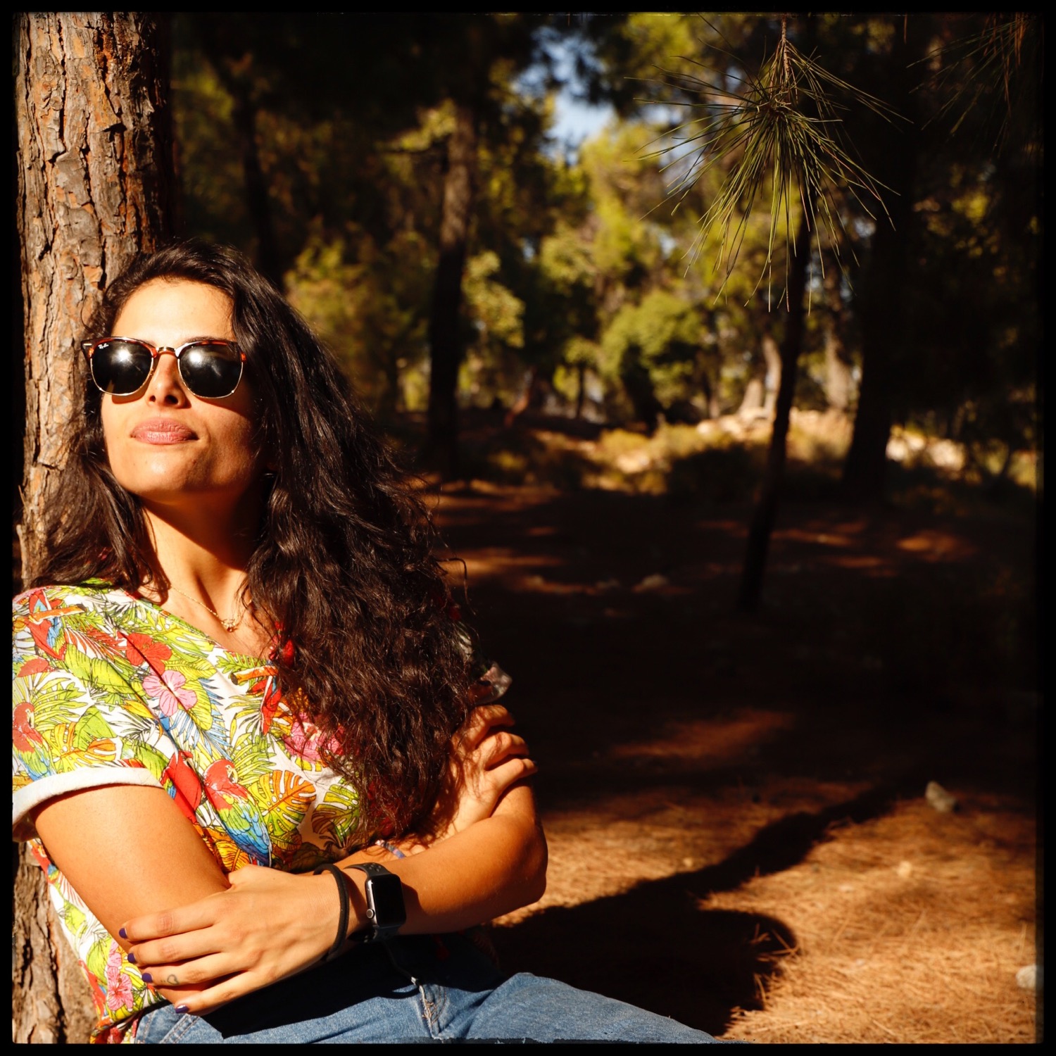 Writer: Zein Nimri