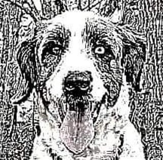 Writer: Dreamy Night Doodles