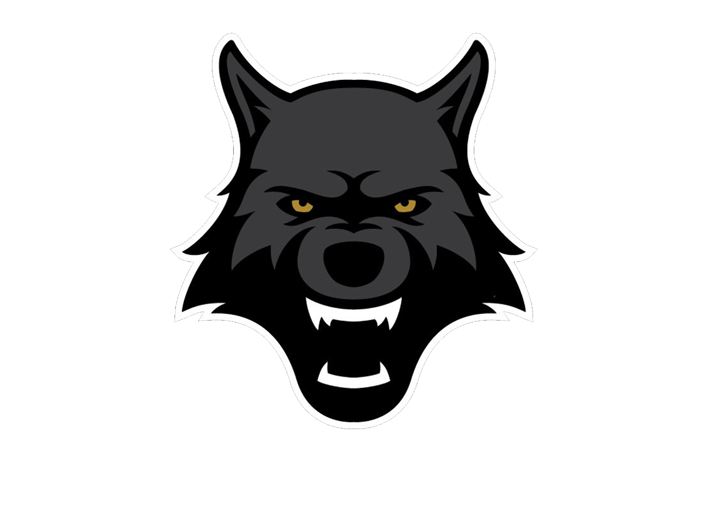 aria-label.authors-picture: Wolfpack United