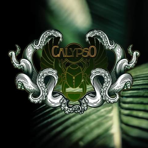 Autorenbild: Calypso Art.Ruegen