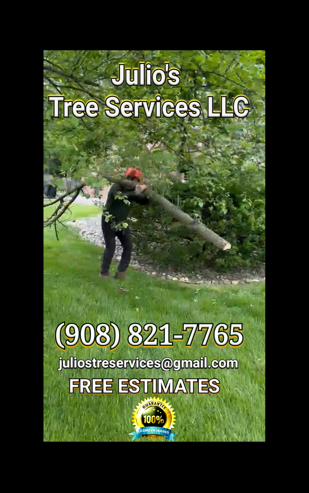Writer: juliostreeservices