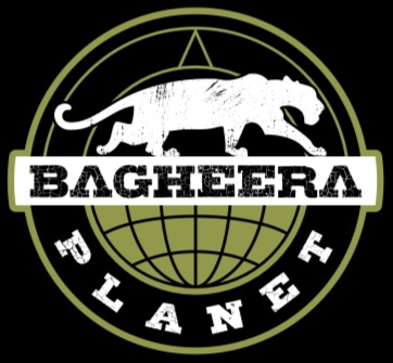 Foto do escritor: Blessing Planet