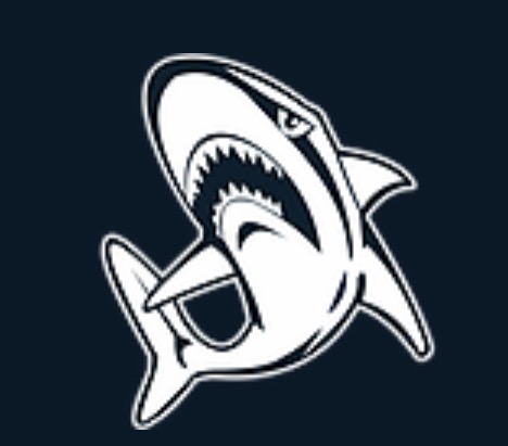 Writer: Henley Sharks Admin
