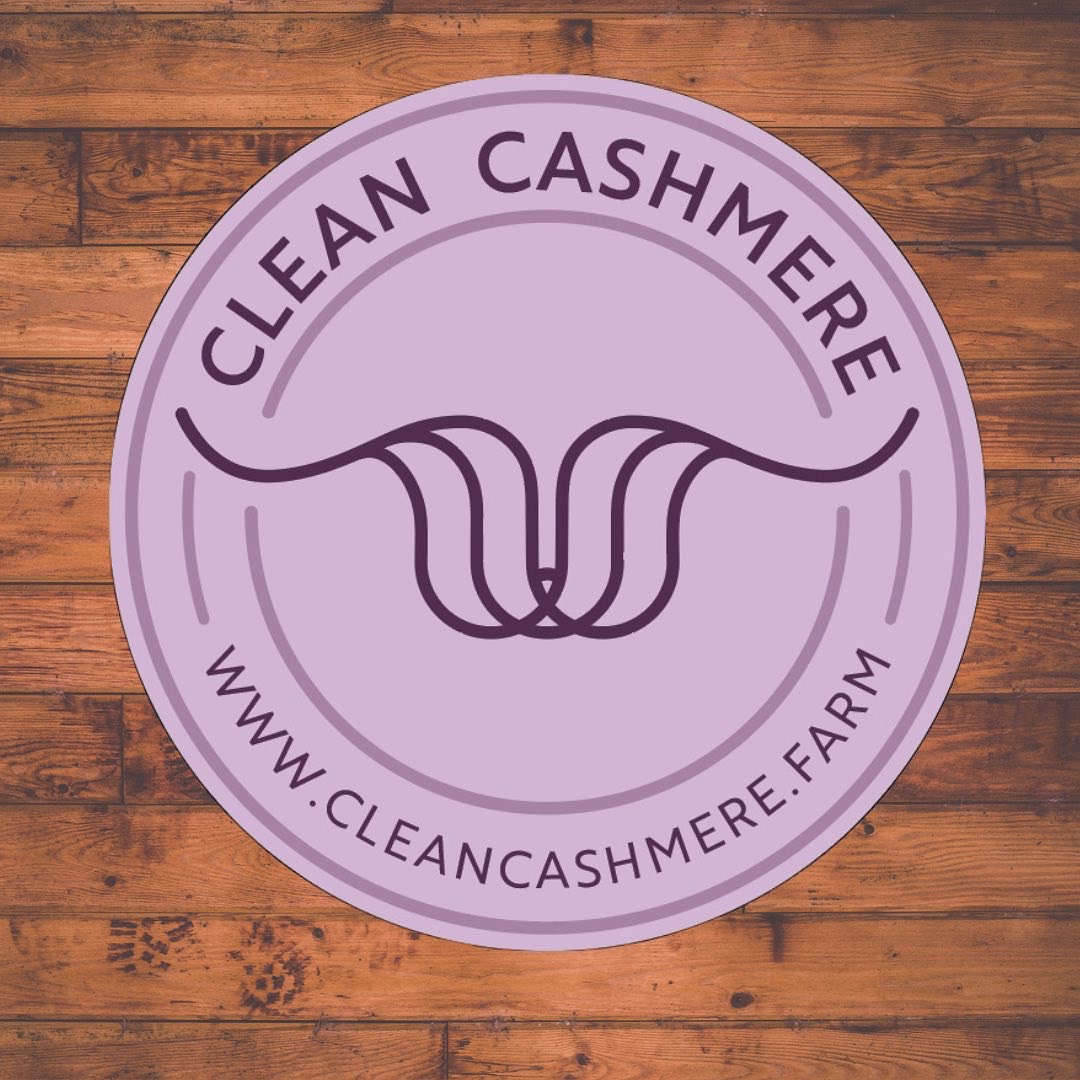 Writer: Clean Cashmere