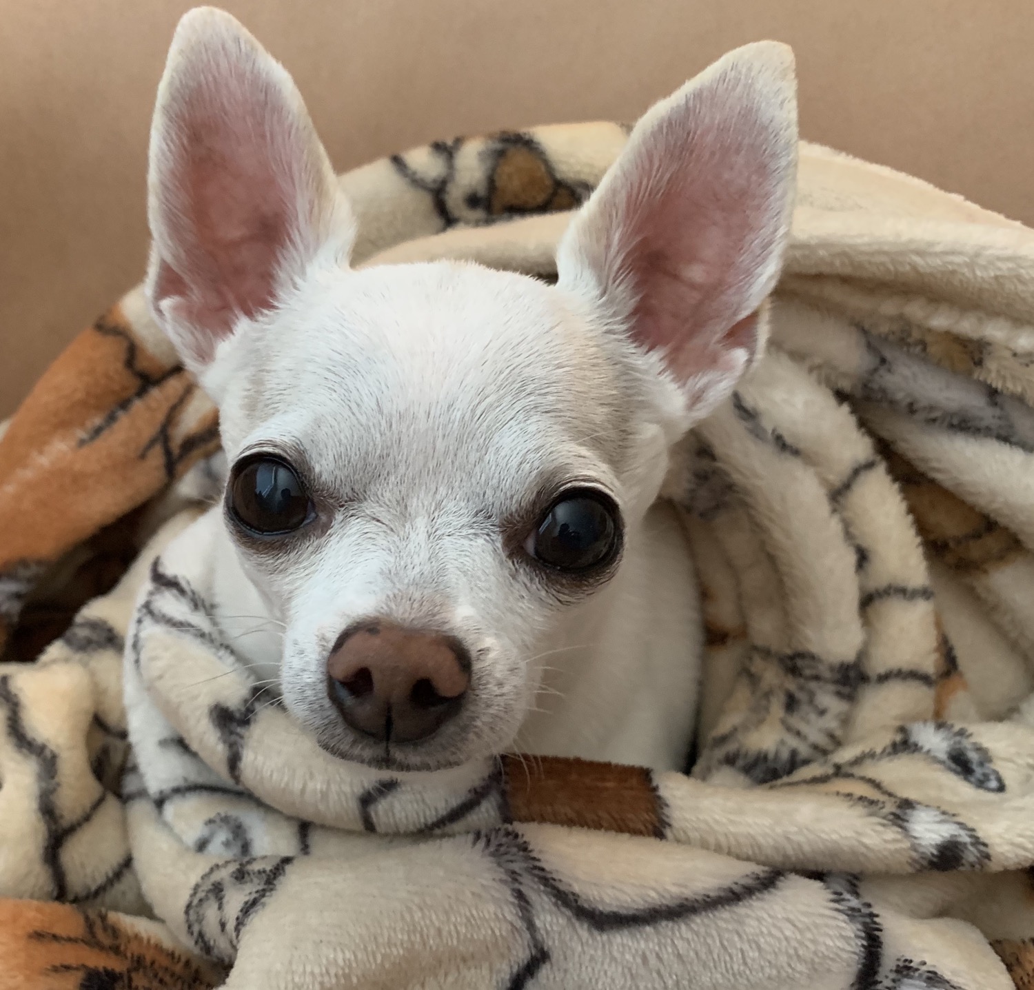 執筆者の写真: Hanako Wix