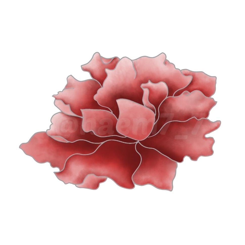 작성자 사진: haem 7_7