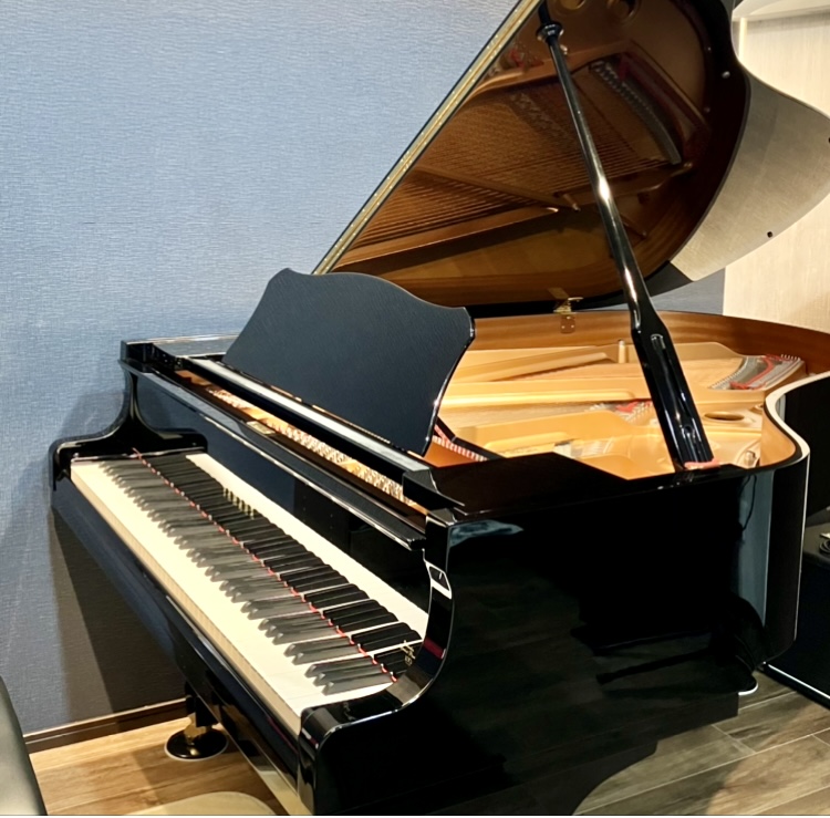 執筆者の写真: akpiano