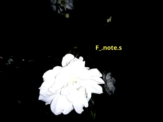 Writer: Fam!ly _note$