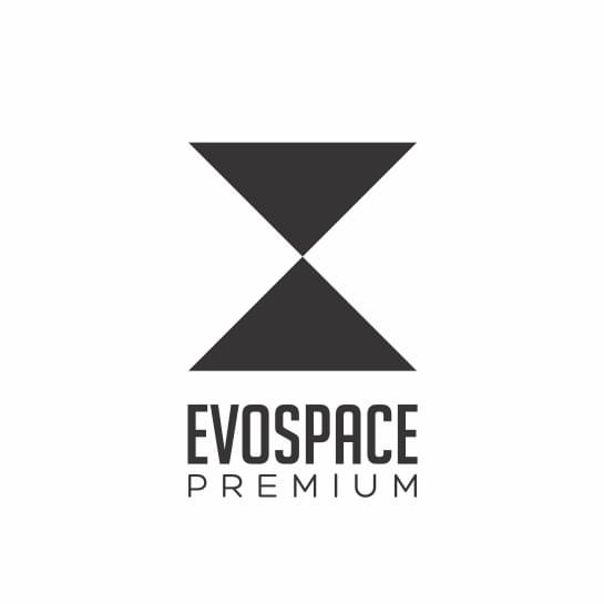 Writer: EvoSpace Premium