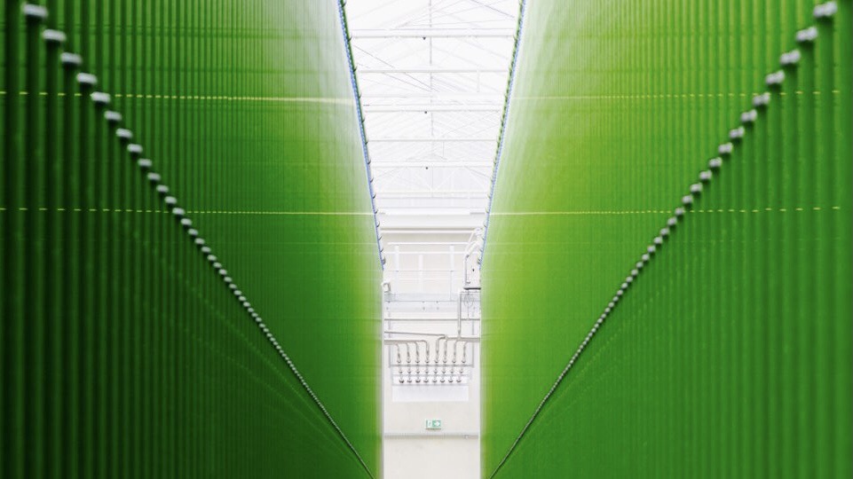 Writer: Igor Dogocki