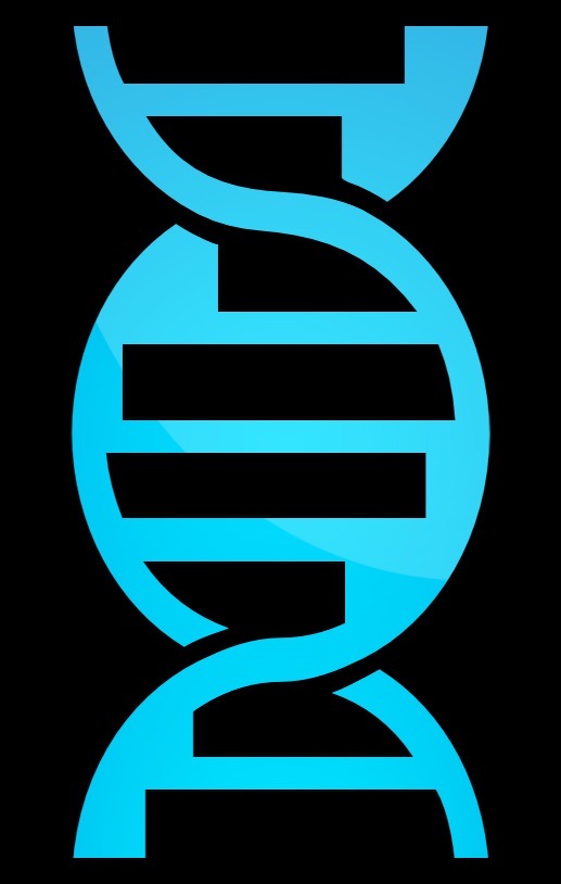 Writer: Ellsworth James