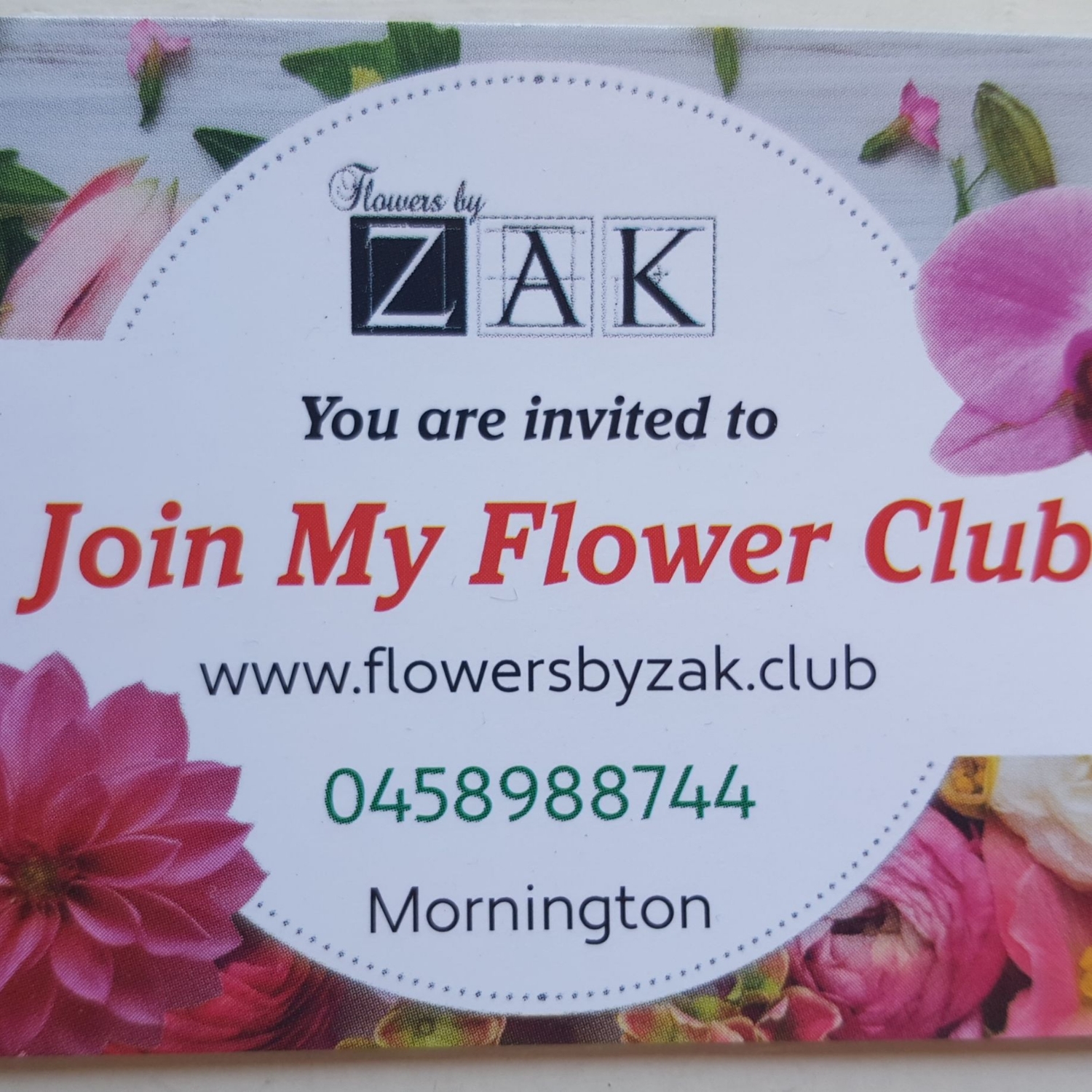 Writer: Carel Izak Steyn