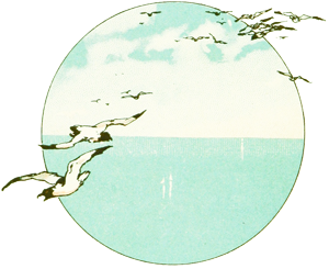 執筆者の写真: 水流花