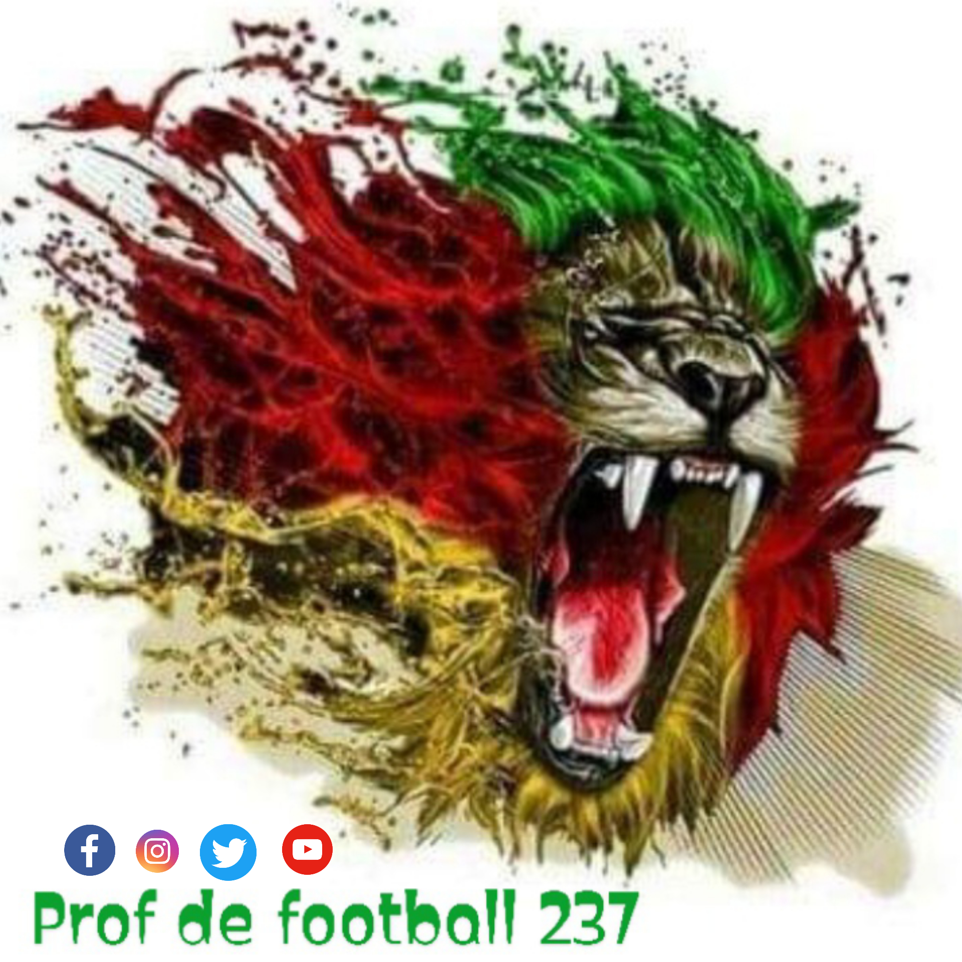 Photo du rédacteur: Profdefootball 237