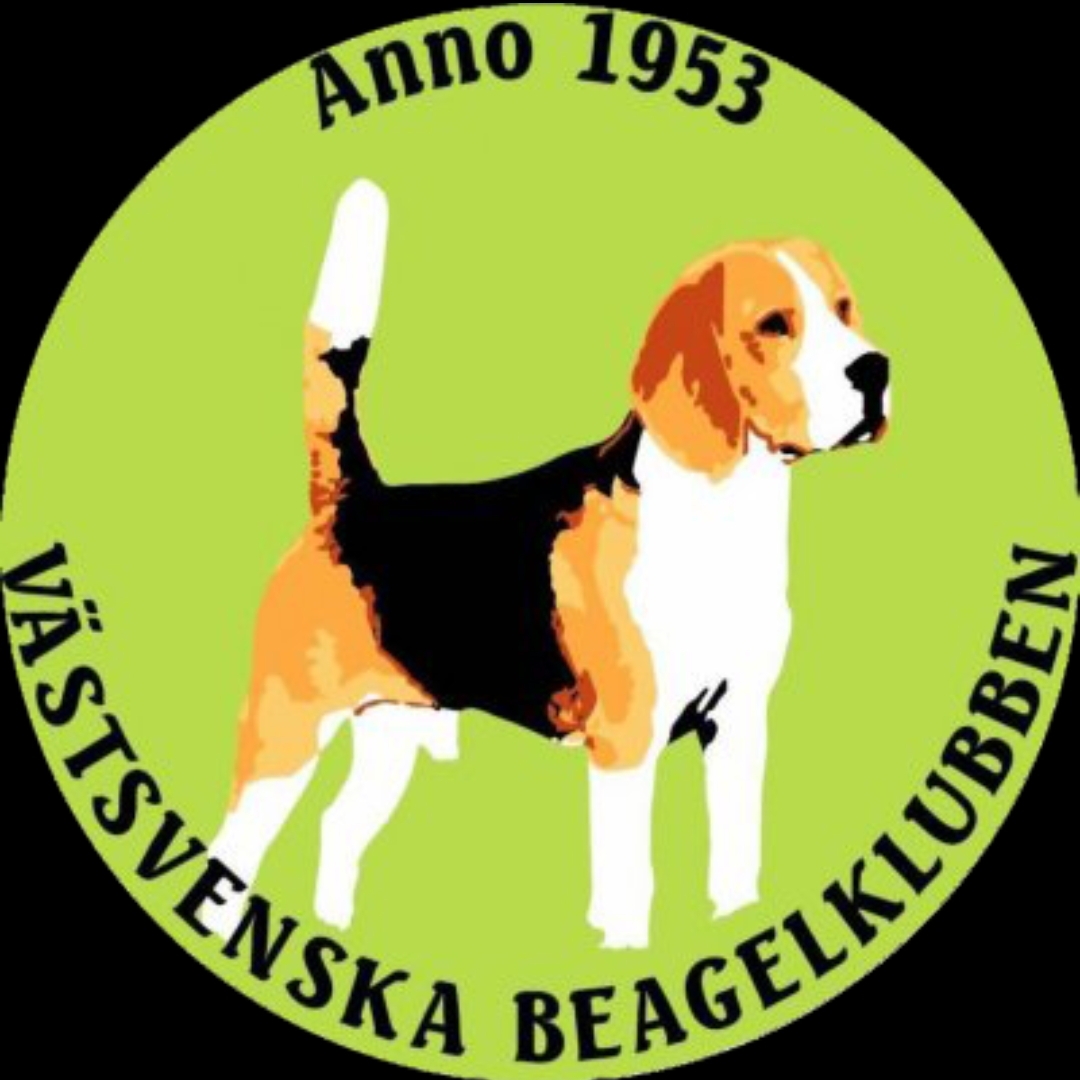 Skribentens bild: Admin VBIK