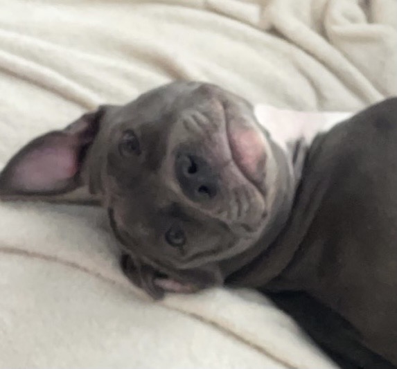 Writer: Ashley Fallone