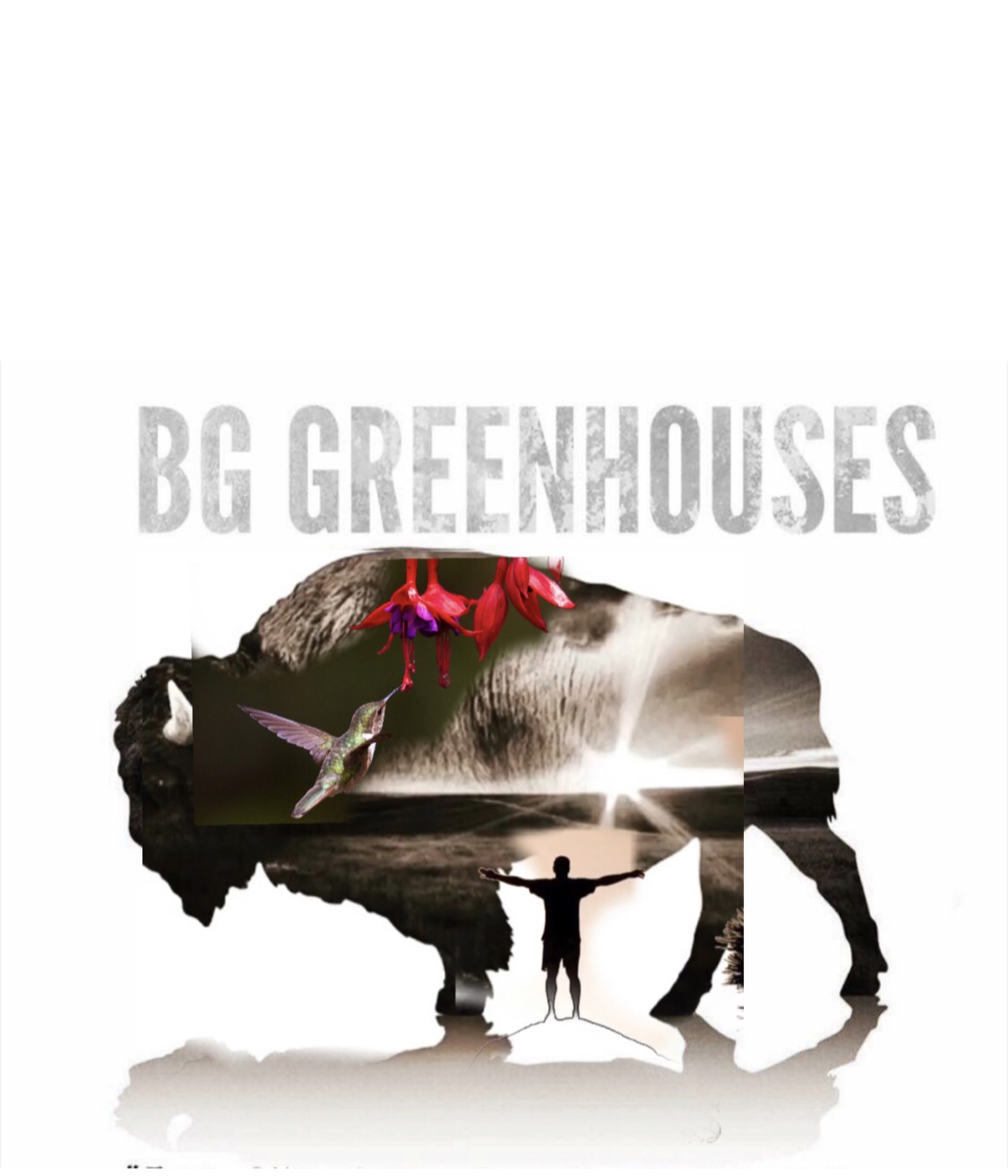 Writer: BG GREENHOUSES